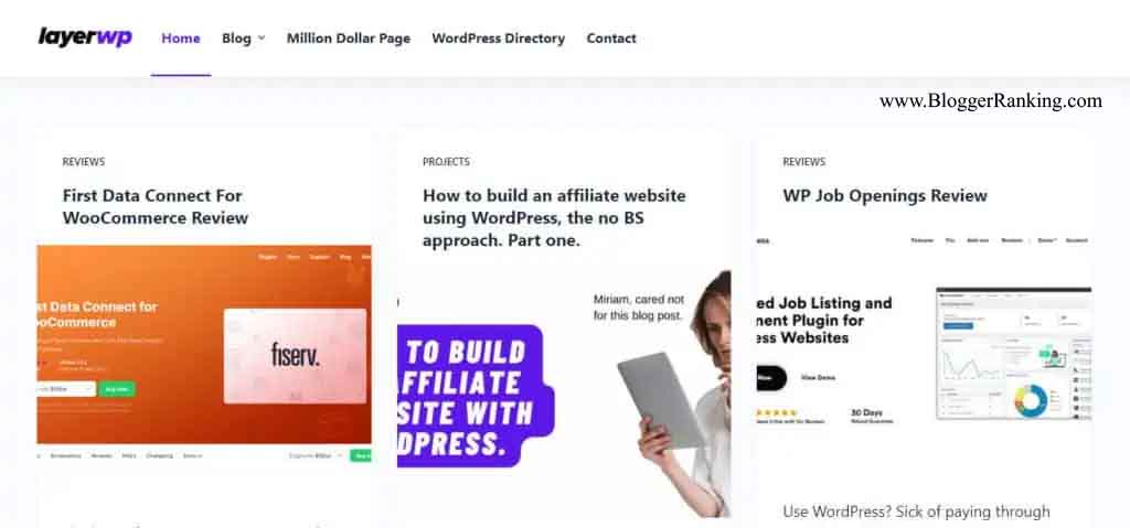 LayerWP website 1024x479 1