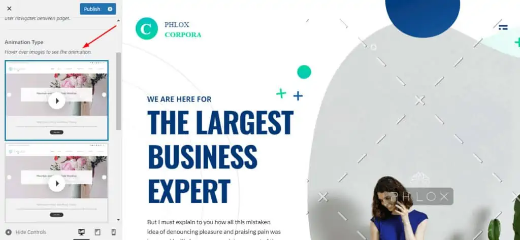 Page Animations Phlox 1024x473 1