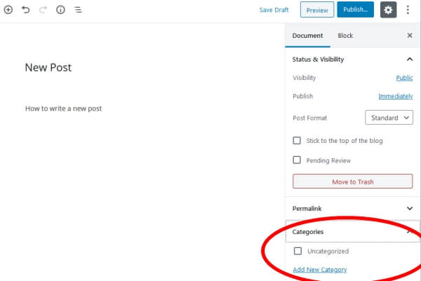 assign a category to your new post